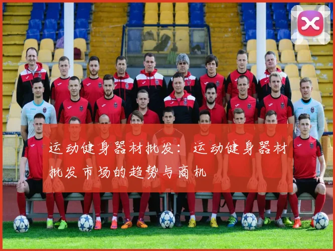 运动健身器材批发:运动健身器材批发市场的趋势与商机