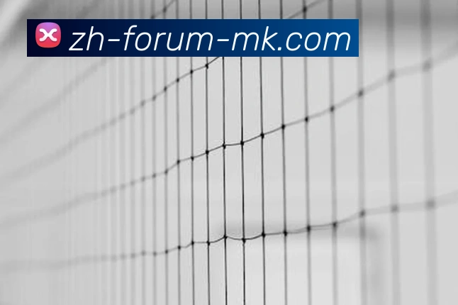 MK体育平台生态图