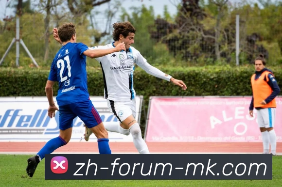 MK体育全站App MK体育全站App